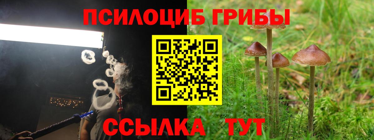 Галлюциногенные грибы Cubensis  Вход с VPN  Нарьян-Мар 